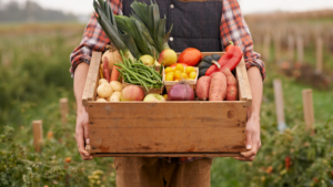 A Guide to Boulder Colorado's Community Supported Agriculture (CSA)