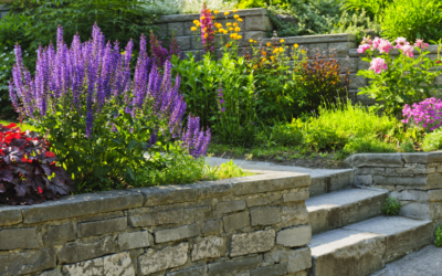 Eco-Friendly Landscaping Tips for a Greener Colorado Home