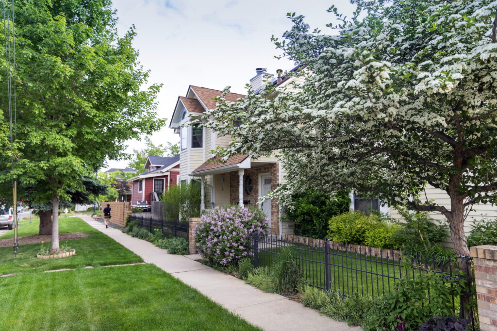 Tree-lined sidewalk in Boulder’s Whittier neighborhood with historic homes, blooming flowers, and a pedestrian walking in the distance.