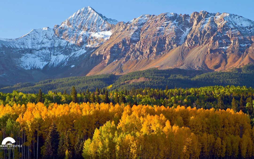 Colorado Fall Color Guide: Where to See the Best Fall Foliage Near Boulder & Denver
