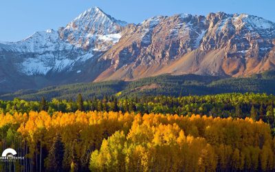 Colorado Fall Color Guide: Where to See the Best Fall Foliage Near Boulder & Denver